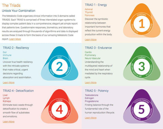 Metabolic Code® Assessment – Your Personal Metabolic Blueprint